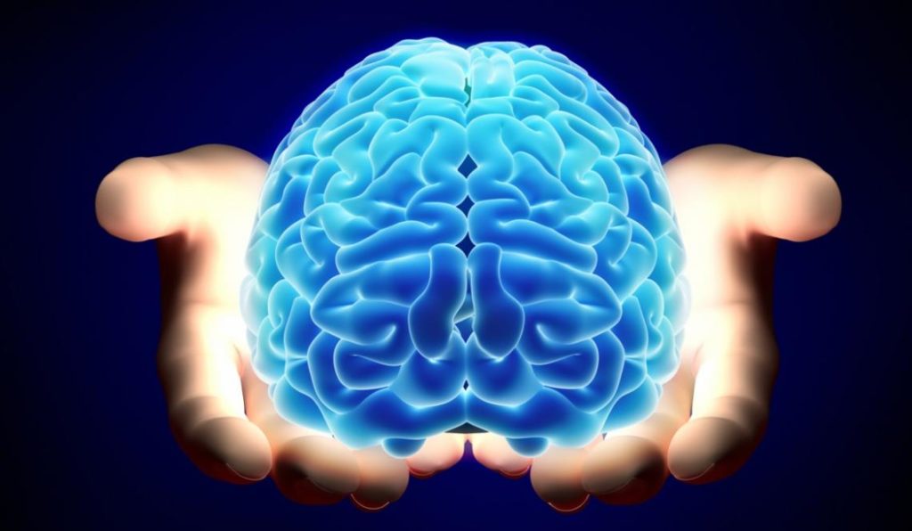 El Cerebro necesita desconectarse para funcionar bien