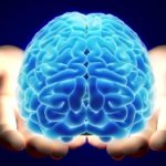 El Cerebro necesita desconectarse para funcionar bien